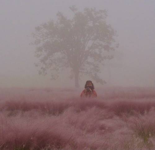 Angel Bista in a foggy field with a tree in the background